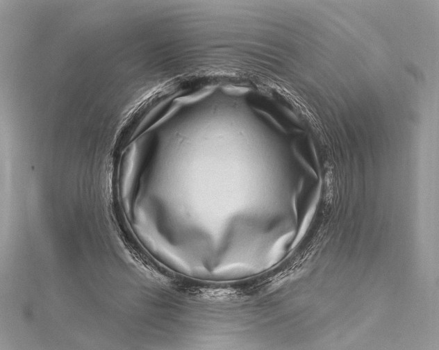 X0000115520446200911201702