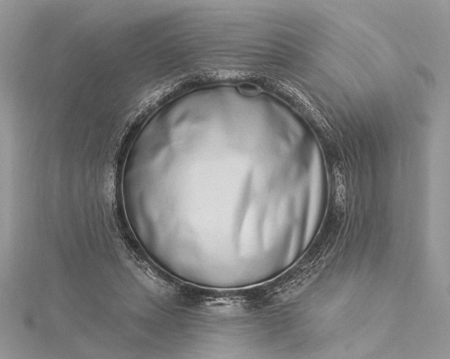 X0000115520447200911201702