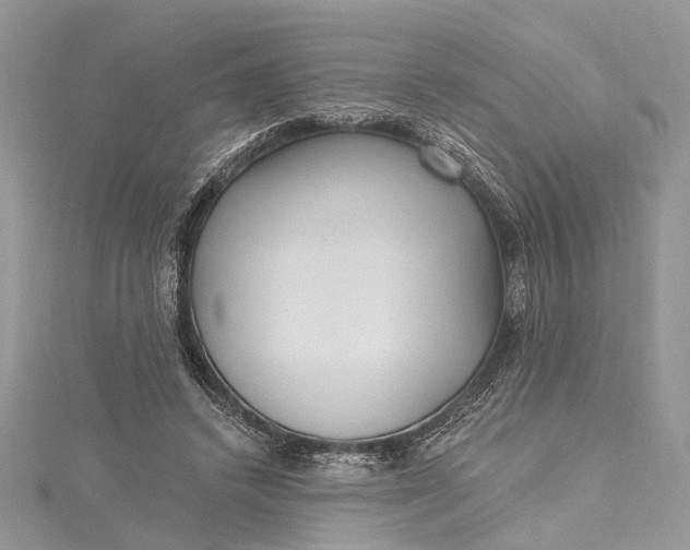 X0000115520448200911201702