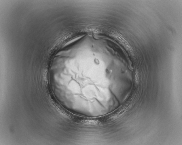 X0000115520449200911201702