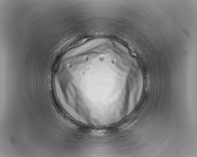 X0000115520450200911201702