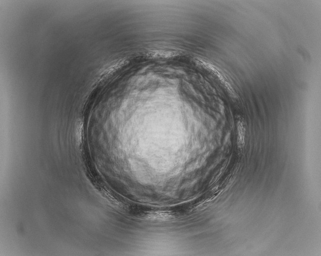 X0000115520451200911201702