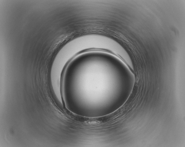 X0000115520452200911201702