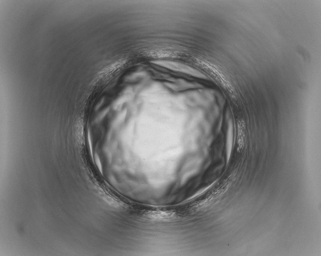 X0000115520453200911201702