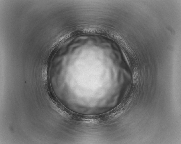 X0000115520454200911201702