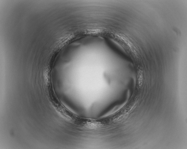 X0000115520455200911201703