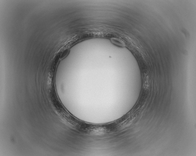 X0000115520456200911201703