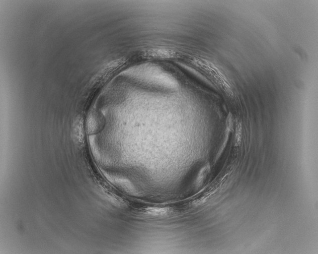 X0000115520457200911201703