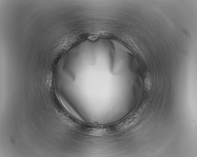 X0000115520458200911201703