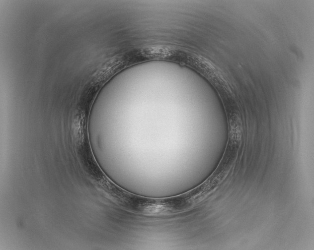 X0000115520460200911201703