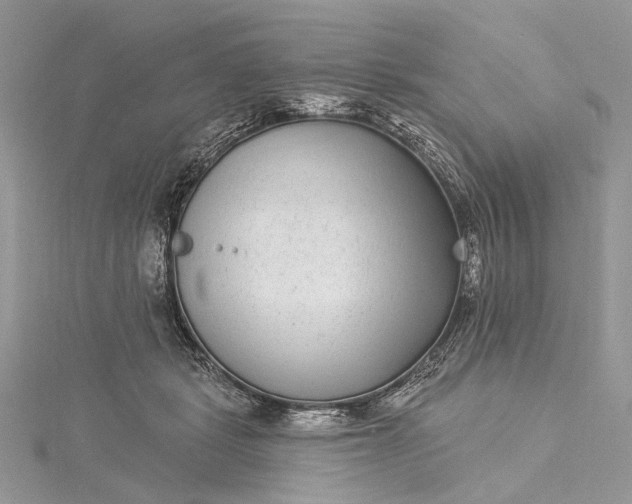 X0000115520461200911201703