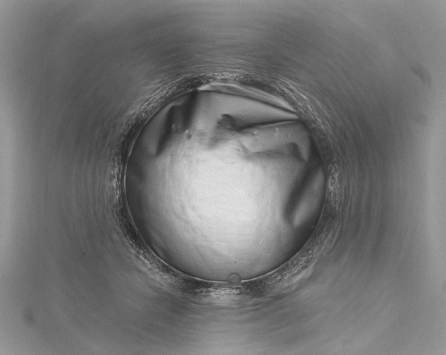 X0000115520462200911201703