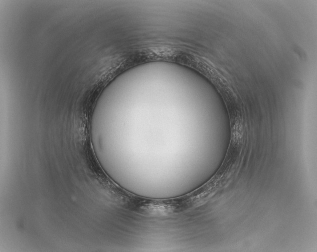 X0000115520464200911201703