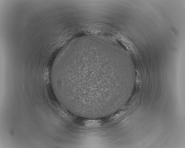 X0000115520465200911201703