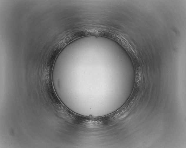 X0000115520466200911201703