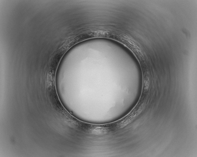 X0000115520467200911201703