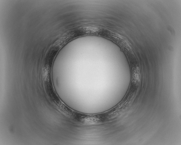 X0000115520468200911201703