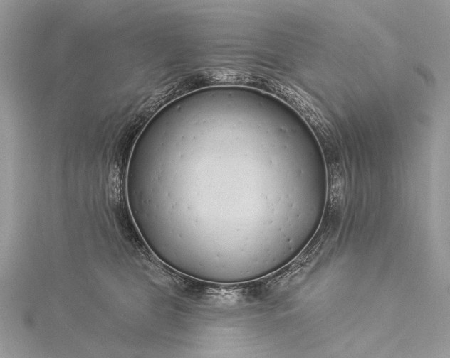 X0000115520469200911201703