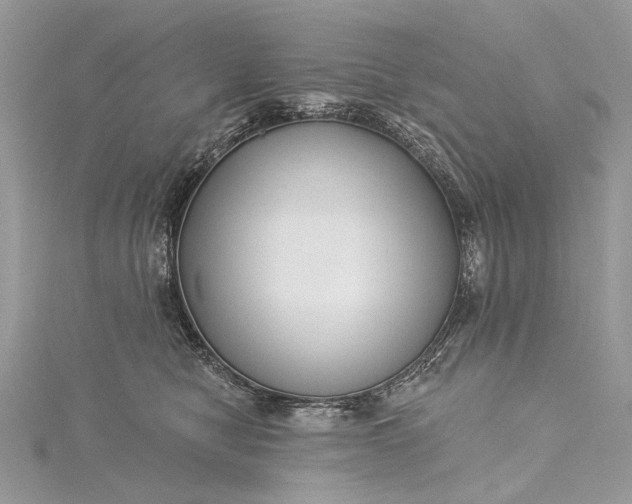 X0000115520470200911201703