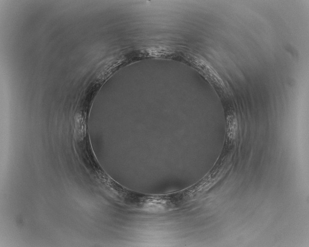 X0000115520471200911201703