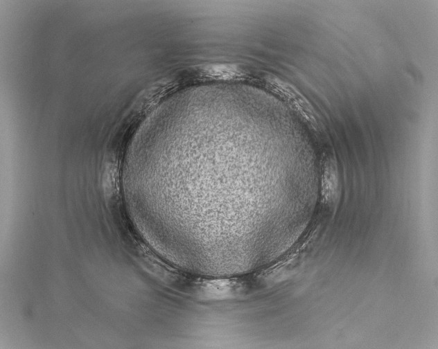 X0000115520473200911201703