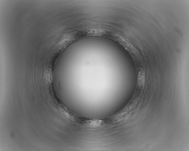 X0000115520474200911201703