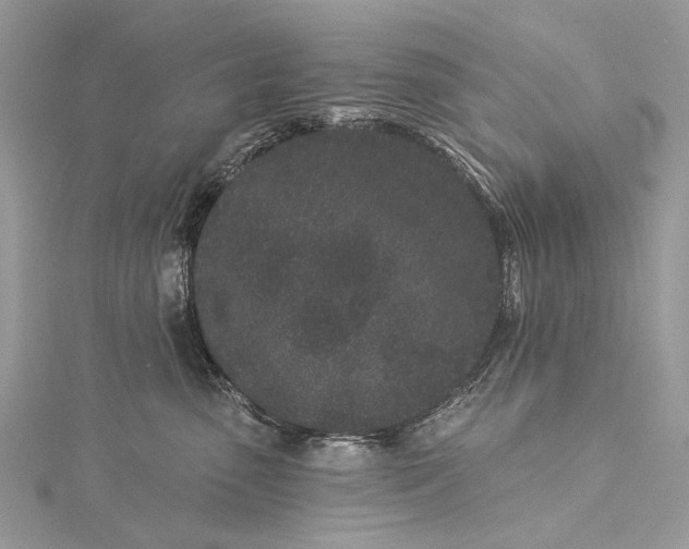 X0000115520475200911201703