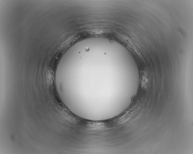 X0000115520476200911201703