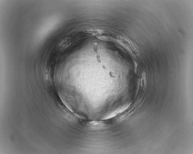 X0000115520477200911201703