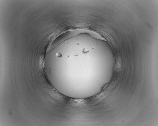 X0000115520478200911201703