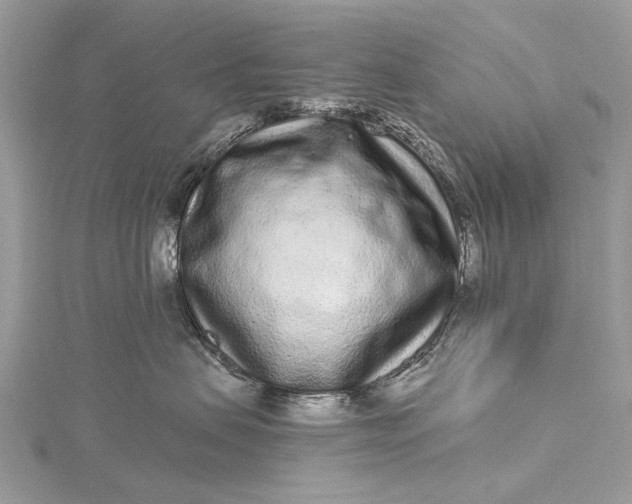 X0000115520479200911201703