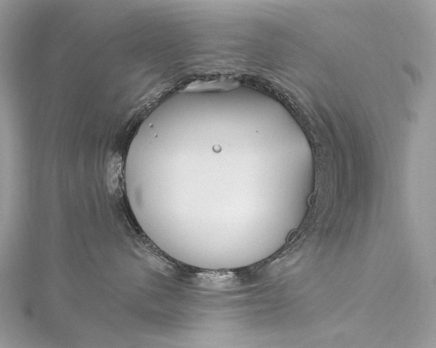 X0000115520480200911201703