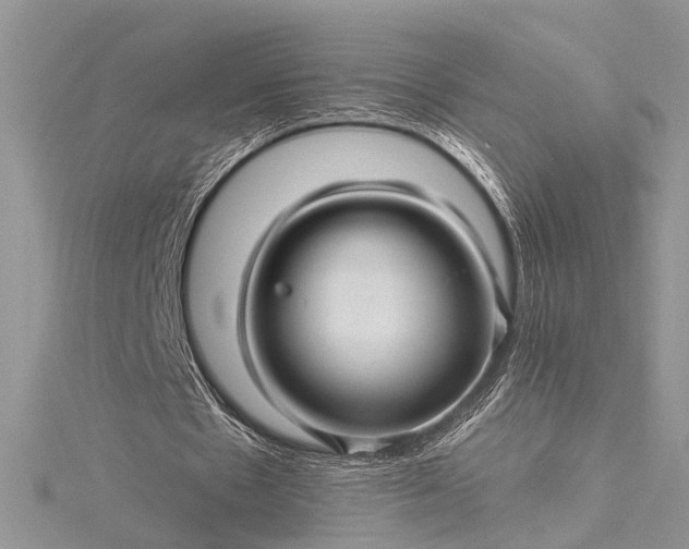 X0000115520481200911201702