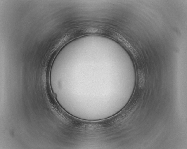 X0000115520482200911201702