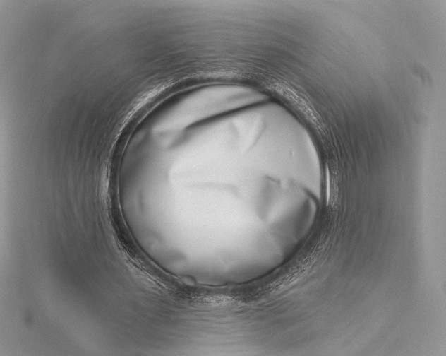 X0000115520483200911201702