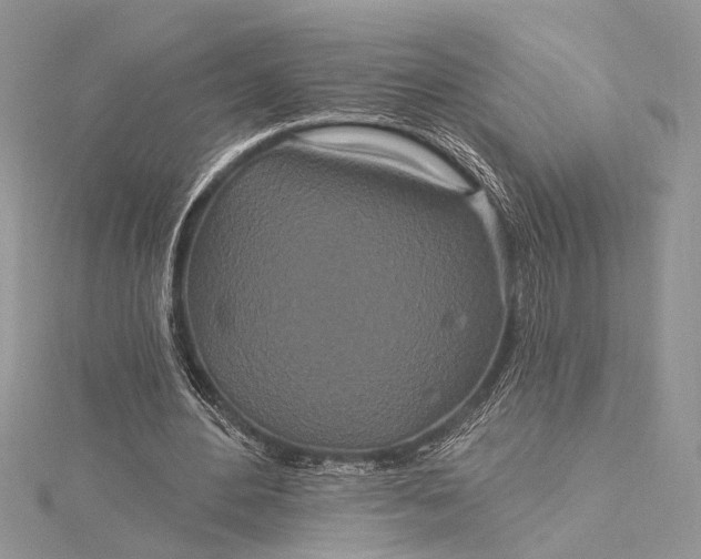 X0000115520484200911201702