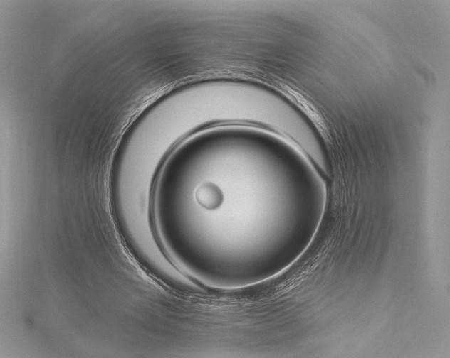 X0000115520485200911201702