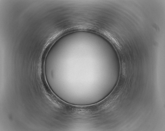 X0000115520486200911201702