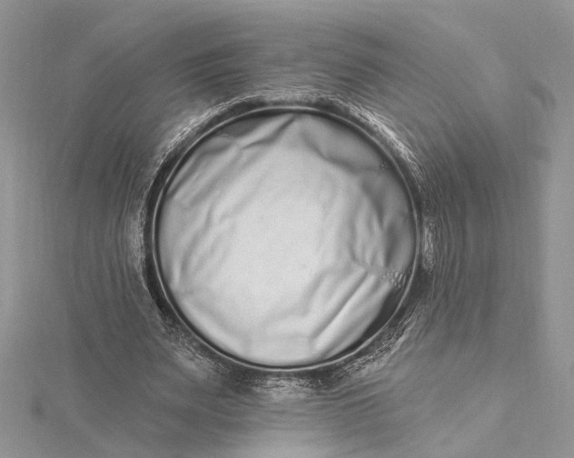 X0000115520487200911201702