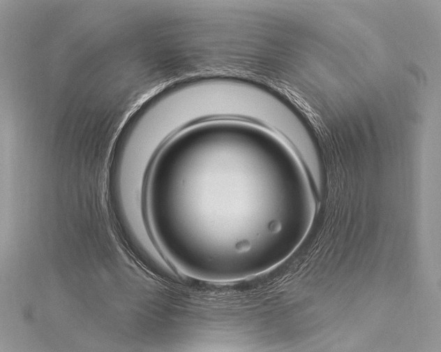 X0000115520488200911201702