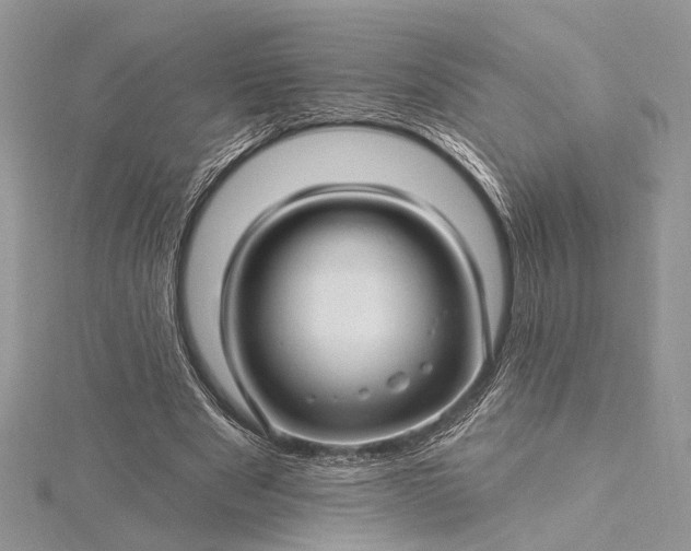 X0000115520489200911201702