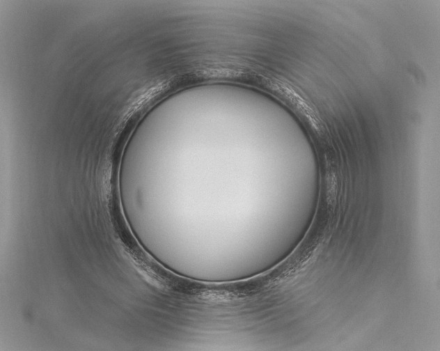 X0000115520490200911201702