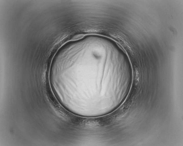 X0000115520491200911201702