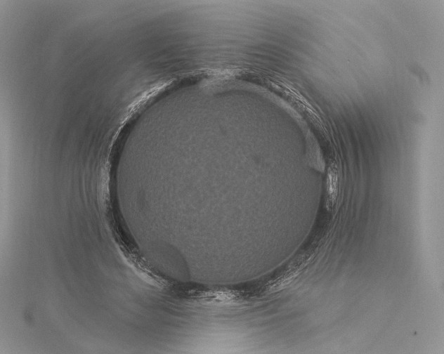 X0000115520492200911201702