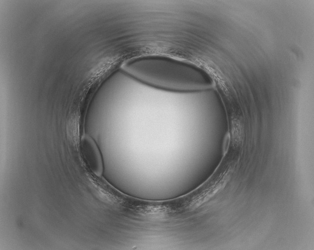 X0000115520493200911201702