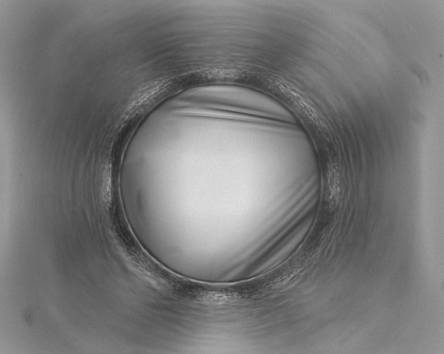 X0000115520494200911201702