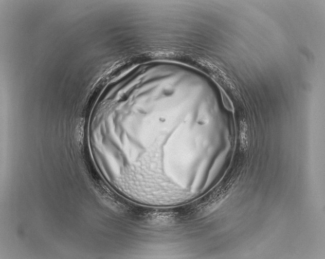 X0000115520495200911201702