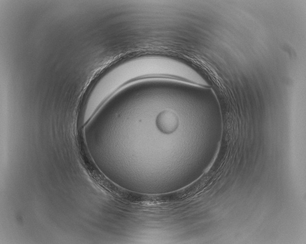 X0000115520496200911201702