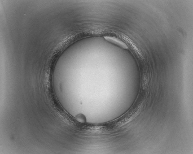 X0000115520497200911201702