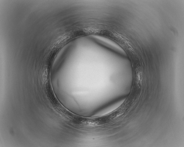 X0000115520498200911201702